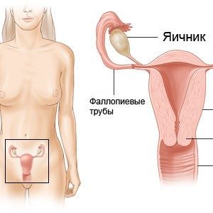 Бывает молочница у женщин врач