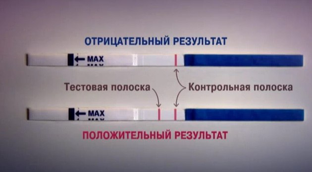 результаты теста на беременность
